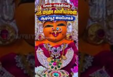 Photo of சேலம் – நெத்திமேடு ஸ்ரீ மஹா காளியம்மன் திருக்கோவில் ஆடிப்பூர வைபோகம்