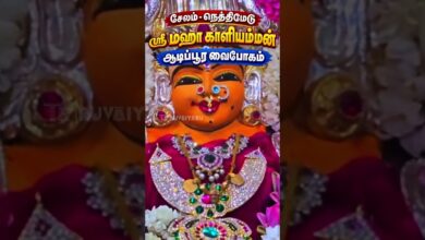 Photo of சேலம் – நெத்திமேடு ஸ்ரீ மஹா காளியம்மன் திருக்கோவில் ஆடிப்பூர வைபோகம்