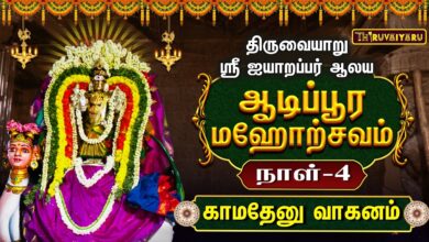 Photo of திருவையாறு ஸ்ரீ ஐயாறப்பர் ஆலய ஆடிப்பூர மஹோற்சவம் நாள்–4 | காமதேனு வாகனம் | Day-4