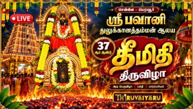 Photo of 🔴பெரவூர் ஸ்ரீ பவானி துலுக்கானத்தம்மன் 37ஆம் ஆண்டு தீமிதி திருவிழா | சென்னை | Theemithi Thiruvizha