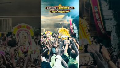 Photo of திருவையாறு ஸ்ரீ ஐயாறப்பர் ஆலயஆடி அமாவாசை புறப்பாடு #thiruvaiyaru #apparkailayakatchi #aiyarappar