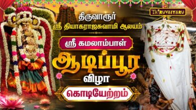 Photo of திருவாரூர் ஸ்ரீ தியாகராஜசுவாமி ஆலய ஸ்ரீ கமலாம்பாள் ஆடிப்பூர விழா கொடியேற்றம் | Kodiyetram
