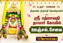 Photo of டி.நகர் ஸ்ரீ பத்மாவதி தாயார் ஊஞ்சல் சேவை திருமலை திருப்பதி தேவஸ்தானம் | Unjal Sevai