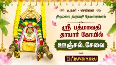 Photo of டி.நகர் ஸ்ரீ பத்மாவதி தாயார் ஊஞ்சல் சேவை திருமலை திருப்பதி தேவஸ்தானம் | Unjal Sevai