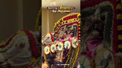 Photo of திருவையாறு ஸ்ரீ ஐயாறப்பர் ஆலய ஆடி அமாவாசை #thiruvaiyaru #dharumai_adheenam #aadiamavasai