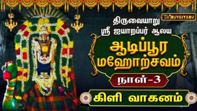 Photo of திருவையாறு ஸ்ரீ ஐயாறப்பர் ஆலய ஆடிப்பூர மஹோற்சவம் நாள்–3 கிளி வாகனம் | Day-3