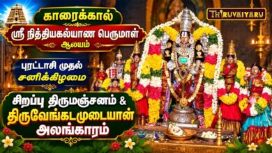 Photo of காரைக்கால் ஸ்ரீ நித்தியகல்யாண பெருமாள் ஆலய புரட்டாசி முதல் சனிக்கிழமை திருவேங்கடமுடையான் அலங்காரம்