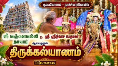 Photo of கும்பகோணம் – நாச்சியார்கோயில் ஸ்ரீ வஞ்சுளவல்லி தாயார் ஸ்ரீ சீனிவாச பெருமாள் ஆலய திருக்கல்யாணம்