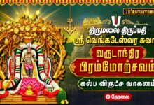 Photo of 🔴LIVE : திருமலை திருப்பதி பிரம்மோற்சவம் கல்ப விருட்ச வாகனத்தில் ஸ்ரீ வெங்கடேஸ்வர சுவாமி | Tirupathi