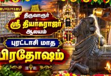 Photo of திருவாரூர் ஸ்ரீ தியாகராஜர் ஆலய புரட்டாசி மாத பிரதோஷம் | Purattasi Pradosham