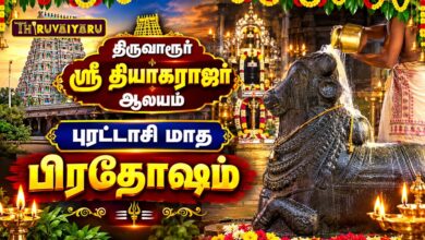Photo of திருவாரூர் ஸ்ரீ தியாகராஜர் ஆலய புரட்டாசி மாத பிரதோஷம் | Purattasi Pradosham