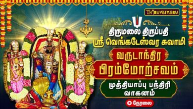 Photo of 🔴LIVE : திருமலை திருப்பதி பிரம்மோற்சவம் | முத்தியாப்பு பந்தரி வாகனத்தில் ஸ்ரீ வெங்கடேஸ்வர சுவாமி