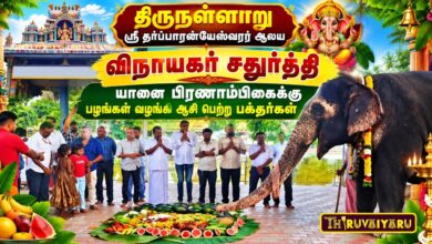 Photo of திருநள்ளாறு ஸ்ரீ தர்ப்பாரண்யேஸ்வரர் ஆலய விநாயகர் சதுர்த்தி யானை பிரணாம்பிகைக்கு பழங்கள் வழங்கி ஆசி