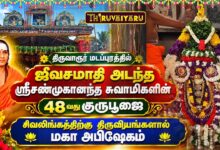 Photo of திருவாரூர் மடப்புரம் சிவலிங்கத்திற்கு திரவியங்களால் மகா அபிஷேகம் | Maha Abishekam