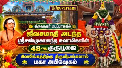 Photo of திருவாரூர் மடப்புரம் சிவலிங்கத்திற்கு திரவியங்களால் மகா அபிஷேகம் | Maha Abishekam