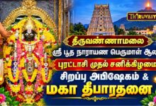Photo of திருவண்ணாமலை ஸ்ரீ பூதநாராயண பெருமாள் ஆலய புரட்டாசி முதல் சனிக்கிழமை சிறப்பு அபிஷேகம் & மகா தீபாராதனை