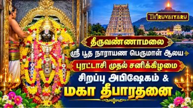 Photo of திருவண்ணாமலை ஸ்ரீ பூதநாராயண பெருமாள் ஆலய புரட்டாசி முதல் சனிக்கிழமை சிறப்பு அபிஷேகம் & மகா தீபாராதனை