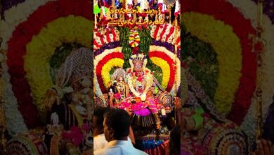 Photo of மேல்மலையனூர் ஸ்ரீ அங்காளம்மன் ஊஞ்சல் உற்சவம் #shorts #unjalseva