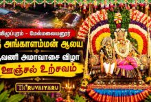 Photo of விழுப்புரம் – மேல்மலையனூர் ஸ்ரீ அங்காளம்மன் ஆலய ஆவணி அமாவாசை ஊஞ்சல் உற்சவம் | Unjal Utsavam