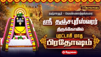 Photo of 🔴LIVE : தஞ்சாவூர் – வெண்ணாற்றங்கரை ஸ்ரீ தஞ்சபுரீஸ்வரர் புரட்டாசி மாத பிரதோஷம் | Purattasi Pradosham