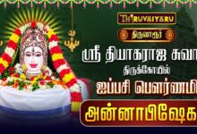 Photo of திருவாரூர் ஸ்ரீ தியாகராஜ சுவாமி ஆலய ஐப்பசி பௌர்ணமி அன்னாபிஷேகம் | Annabishekam