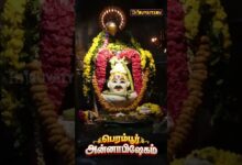 Photo of பெரம்பூர் ஸ்ரீ சிவாவிஷ்ணு ஆலய ஐப்பசி பௌர்ணமி அன்னாபிஷேகம்
