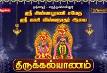 Photo of 🔴LIVE : தஞ்சாவூர் – மருத்துவக்கல்லூரி ஸ்ரீ அன்னபூரணி சமேத ஸ்ரீ காசி விஸ்வநாதர் ஆலய திருக்கல்யாணம்