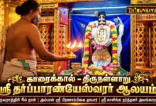 Photo of காரைக்கால் திருநள்ளாறு ஸ்ரீ தர்ப்பாரண்யேஸ்வரர் ஆலய நவராத்திரி 4ம் நாள் | Day-4