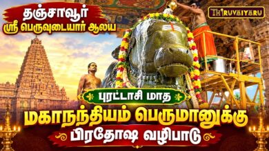 Photo of தஞ்சாவூர் ஸ்ரீ பெருவுடையார் ஆலய புரட்டாசி மாத பிரதோஷம் மகாநந்தி பெருமானுக்கு சிறப்பு பிரதோஷ வழிபாடு