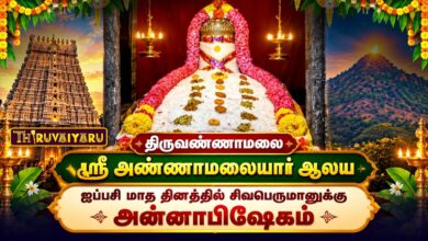 Photo of திருவண்ணாமலை ஸ்ரீ அண்ணாமலையார் ஆலய ஐப்பசி மாத அன்னாபிஷேகம் | Annabhishekam