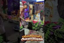 Photo of 🙏 ஸ்ரீ நாகலிங்கேஸ்வரர் ஆலய அன்னாபிஷேகம் | சிறப்பு தரிசனம் 🌺 #Shorts