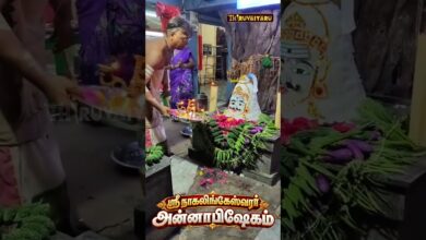 Photo of 🙏 ஸ்ரீ நாகலிங்கேஸ்வரர் ஆலய அன்னாபிஷேகம் | சிறப்பு தரிசனம் 🌺 #Shorts