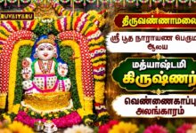 Photo of திருவண்ணாமலை ஸ்ரீ பூத நாராயண பெருமாள் ஆலய மத்யாஷ்டமி ஸ்ரீ கிருஷ்ணர் வெண்ணெய்காப்பு அலங்காரம்