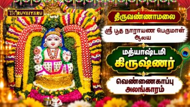 Photo of திருவண்ணாமலை ஸ்ரீ பூத நாராயண பெருமாள் ஆலய மத்யாஷ்டமி ஸ்ரீ கிருஷ்ணர் வெண்ணெய்காப்பு அலங்காரம்