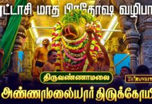Photo of திருவண்ணாமலை ஸ்ரீ அண்ணாமலையார் ஆலய புரட்டாசி பிரதோஷம் பெரிய நந்தி பகவானுக்கு சிறப்பு அபிஷேக ஆராதனை